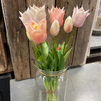 pastel roze zijden tulpen